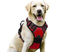 YPDOPORA Dog Harness No Pull with 2 Leash Clips, Adjustable Soft Padded, Reflective Oxford No Choke Pet Vest with Easy Control Handle for Large Dogs,B,M
