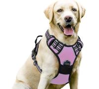 YPDOPORA Dog Harness No Pull with 2 Leash Clips, Adjustable Soft Padded, Reflective Oxford No Choke Pet Vest with Easy Control Handle for Large Dogs,C,S
