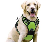 YPDOPORA Dog Harness No Pull with 2 Leash Clips, Adjustable Soft Padded, Reflective Oxford No Choke Pet Vest with Easy Control Handle for Large Dogs,D,M