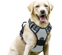 YPDOPORA Dog Harness No Pull with 2 Leash Clips, Adjustable Soft Padded, Reflective Oxford No Choke Pet Vest with Easy Control Handle for Large Dogs,I,L