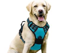 YPDOPORA Dog Harness No Pull with 2 Leash Clips, Adjustable Soft Padded, Reflective Oxford No Choke Pet Vest with Easy Control Handle for Large Dogs,J,S