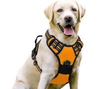 YPDOPORA Dog Harness No Pull with 2 Leash Clips, Adjustable Soft Padded, Reflective Oxford No Choke Pet Vest with Easy Control Handle for Large Dogs,F,M