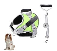 YPDOPORA Dog Vest Harness, No Pull in Trainning Dog Harnesses with Handle & 5Ft Dog Leash, Adjustable and Reflective Dog Vest for Small Medum Large Pets Walking and Running,A,2XL