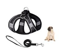 YPDOPORA No Pull Dog Harness and Leash Set, Step in Adjustable Dog Harness with Padded Vest for All Weather, Dog Leash with Soft Padded Handle, Dog Leash for Small Medium Dogs Cats,Black,L