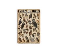 ypes of Owls Owls Knowledge Owl Decor Owl Lover Art Barn Owl Forest Lovers Owls Metal Tin Sign Art Tin Sign 12" x 8" Inch Cafe School Bar Decoration