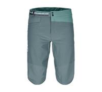 YPSILANTI PALA SHORTS M C: dark arctic grey - S: S