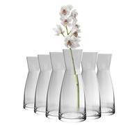 Bormioli Rocco Ypsilon Flower Vase 285ml - Pack of 6