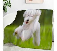 Ypthriline Bichon Frise Blanket, Puppy Microfiber Flannel Throw Blanket, Comfortable Soft Fluffy and Warm, Blankets for Beds, Sofas and Recliners, 220×240 CM
