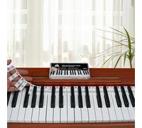 YPTSYSYS Piano Key Labels, Piano Note Stickers Removable for 88-Key Standard Full-Size Keyboard Reusable Silicone Strips Multi-Color Large Bold Letter for Beginners(Colourful)