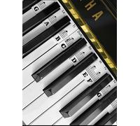 YPTSYSYS Piano Note Stickers Removable for 88-76Key Standard Full-size Keyboard Reusable Silicone Strips Multi-Color Large Bold Letter for Beginners Kids (Black)