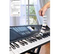 YPTSYSYS Piano Notes Guide for Beginner, Removable Piano Keyboard Note Labels for Learning, 61-Key standard full-size, Made of Silicone Rubber, No Need Stickers, Reusable and Comes with Box(Colored-N)