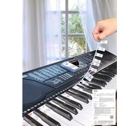 YPTSYSYS Piano Notes Guide for Beginner, Removable Piano Keyboard Note Labels for Learning, 61-Key Standard Full-Size, Made of Silicone Rubber, No Need Stickers, Reusable and Comes with Box(Colored)