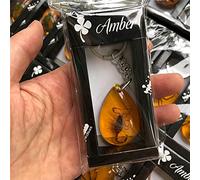 YQDHB Real Insect Keychain Animal Specimen Collection, High Transparent Insect Specimen Keychain Pendant (Scorpion), Resin Material Is Clearly Visible, Durable (45 * 30mm)