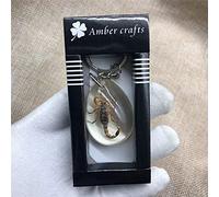 YQDHB Real Insect Keychain Animal Specimen Collection,high Transparent Insect Specimen Keychain Real Insect Specimen Keychain Pendant (scorpion),resin Material Is Clearly Visible,durable (45 * 30mm)