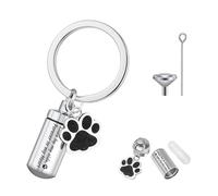YqsIbth Stainless Steel Dog Paw Cremation Urn Keyring, Memorial Ashes Keepsake Keychain, Pet Charms Locket Pendant Cremation Jewellery for Ashes(Silver)