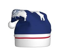 YQxwJL Wyoming State Flag Print Santa Hat, Plush Christmas Hats, Holiday Festive Headwear, For Christmas Parties Everyday Wear