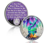 YRCKUDZKG Guided by Northern Lights 2 Year Sobriety Coin - One Day at a Time AA Coin, Alcohol Free Two Year Recovery Chip with Token Capsule, Sobriety Gifts for Men Women