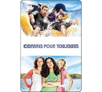 YRENBIYYONZ Grown Ups (2010) Movie Plaque Poster Metal Tin Sign 8"" x 12"" Vintage Retro Wall Decor
