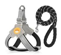yrenoer No Pull Dog Harness with Breathable Mesh Padding, Reflective Strips, Escape Proof Design, Quick Adjust Fit for Training & Walking Small, Medium, and Large Dogs (Black, 2XL)