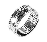 YROHGKPN Feng Shui Charms Amulet Wealth Lucky Carving Scripture Adjustable Rings Buddhist Jewelry for Women Men Gift