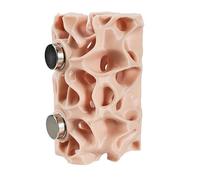 YROHGKPN Innovative Ventilated Spiders Nest Featuring Climbing Tunnel for Jumping Spiders Exploration and Observation Small Reptiles House