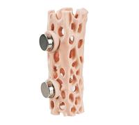 YROHGKPN Innovative Ventilated Spiders Nest Featuring Climbing Tunnel for Jumping Spiders Exploration and Observation Small Reptiles House