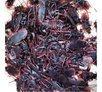 YROHGKPN Multipurpose Prank Set with 100 Pieces Realistic Cockroach Toy Great Accessory for Halloweens Jokes and Kid ' s Game Halloweens Prank