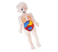 YROHGKPN STEM Educational Human Body Anatomy Model Figure Toy for Kids Interactive Assembly Puzzle Preschool Learning Science Human Body Anatomy Model