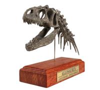 YRQMGSF 1/10 Allosaurus Skull Replica Model Resin Dinosaur Replica Head Sculptures for Home Office Decorations on Shelf Table Desk Bookshelf