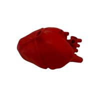 YRQMGSF 3d-Printed Educational Human Heart Model - Anatomical Heart Structures Model - for Anatomy Teaching, Medical Study And Cardiology