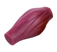 YRQMGSF Silicone Human Muscle Anatomical Model,1lb Human Muscle Model, Demonstration for Anatomy, Physiology,Flesh,15cm