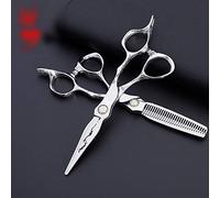 YRRYGMN 6 Inch Hairdresser Professional Hairdressing Set, Stainless Steel Flat Shear + Tooth Scissors Thinning Hairdressing Scissors Set(Color : Silver) (Silver)