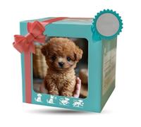 YRSM-MR Cute mechanical pet dog, walking robot dog, barking and interactive plush toy, suitable for gifts of various festivals,
