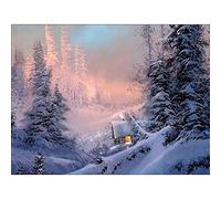 YRTMHU 5D Diamond Painting Kits Winter Forest Snow Scene Full Drill Crystal Rhinestone Embroidery Number Cross Stitch Paintings Kit for Adults Or Kids Parents Gifts Home Wall Decor Art (50x70cm)