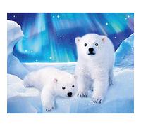 YRTMHU Diamond Painting Kits Full Drill Animal Polar Bear Crystal Embroidery Painting Kit Art Craft Canvas Cross Stitch Painting for Adults or Kids Home Room Decoration (30x40cm)