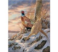 YRTMHU Diamond Painting Kits Full Drill Pheasant Winter Snow Scene Crystal Embroidery Painting Kit Art Craft Canvas Cross Stitch Painting for Adults or Kids Home Room Decoration (30x40cm)