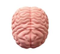 Yruioon Novelty Brain Squishy Toys Jumbo Slow Rising Sensory Toy Fidget Toy for Work Rave Office Desk Pink One Size