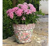 YRYRYW Colored Ceramic Plant Pot Glazed Large Flower Pot With Saucer Round Terracotta Flower Pot Hand-Painted Bonsai Planter Outdoor Courtyard FlowerpotPlant Pot Household faucets