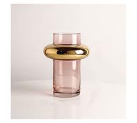 YRYRYW Flower Vases Nordic Light Luxury Gold Painted Glass Vase Transparent Hydroponic Flower Arrangement Creative Ornament Home Decor Decorative Vase Household faucets