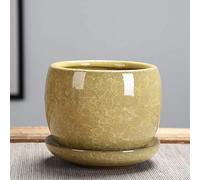 YRYRYW Jelly Fleshy Plants Ceramic Pot Ice Cracked Glazed Flower Pot Succulent Plant Pot Cactus Bonsai Pot Flower Pot Container Planter Garden Decoration,Yellow,13 * 11cm Household faucets