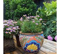 YRYRYW Outdoor/Indoor Color Ceramics Flower Pot Outdoor Garden Decor Plant Pot Creative Characteristic Bonsai Pot Planter Villa PatioProcess Container Planters Bonsai Pot Ceramic Flower Pot Household