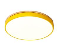 YRYRYW Promise Dimming 3000K-6000K Ceiling Lamp Ultra Thin Round Acrylic Shade LED Indoor Ceiling Light Fixtures Household faucets