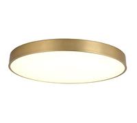 YRYRYW Promise Dimming LED Ceiling Light with Remote Control & Round Wood Art Shade Nordic Industrial Household faucets