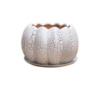 YRYRYW Succulent Ceramic Pot Perforated Pumpkin Flower Pot Silver Crack Cactus Plant Pot for Indoor Ceramic Plant Pot Flower Green Plant Container for Home Office Decor and Unique Gift Household