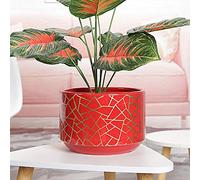 YRYRYW Succulents Pot Plant Pot Ceramic Plant Pots Large Cylindrical Planter With Hole Ceramic Container Creative Plant Flower Pot Home Office New Year Decoration Household faucets