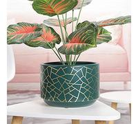 YRYRYW Succulents Pot Plant Pot Ceramic Plant Pots Large Cylindrical Planter With Hole Ceramic Container Creative Plant Flower Pot Home Office New Year Decoration Household faucets
