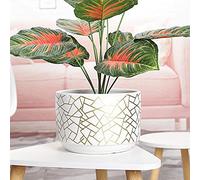 YRYRYW Succulents Pot Plant Pot Ceramic Plant Pots Large Cylindrical Planter With Hole Ceramic Container Creative Plant Flower Pot Home Office New Year Decoration Household faucets