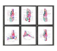 YRZYT Anime Poster, Foot Bones Anatomy Wall Art, 30x70cm, Unframed, Watercolor Print, Modern Home Decor, Living Room