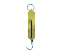 YSAMAX Pocket Spring Balance Luggage Scale 25 Kg Weight Measuring Fishing Luggage, Golden Mechanical Balance with Hook for Home, School, Classroom, Kitchen Use (1 PACK)