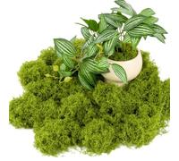 YSAOAKA 50g Fake Moss, Artificial Moss for Potted Plants, Lawn Crafts for Table Wedding Flower Pot Decoration Both Beautiful and Practical, Light Green